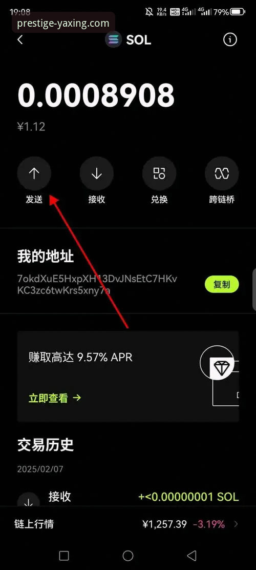 亚星娱乐手机版怎么下载 亚星娱乐手机版下载全面解析:新手必备的安装与使用指南